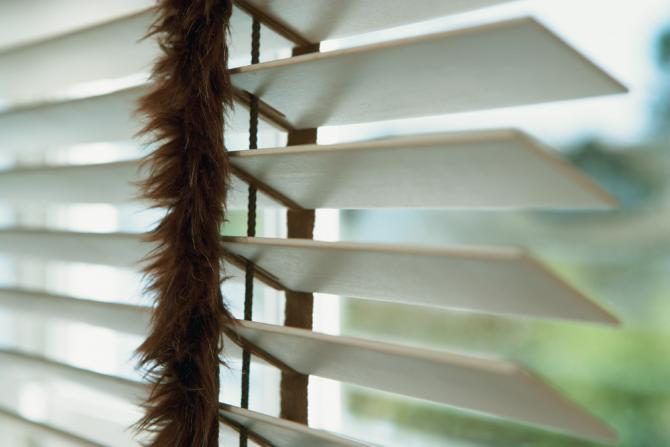 Dřevěné žaluzie podtrhnou krásu Vašeho interiéru 